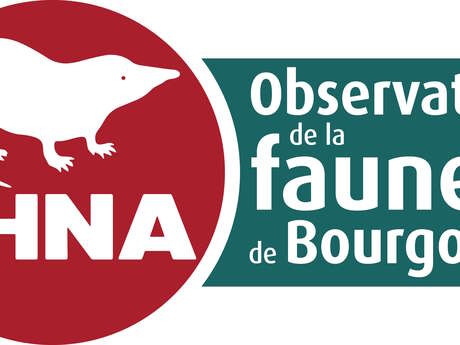 Portes ouvertes de la Bibliothèque de la SHNA-OFAB