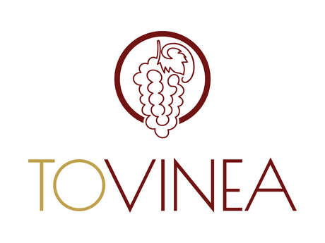 Visite guidée au Domaine Vincent Royet