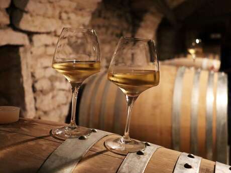 Découverte et dégustation du Chai Urbain BIO « La Cuve en Ville » au cœur de Dijon - La Fine Heure