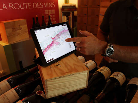 Masterclass Pinot noir - Les Clos Vivants