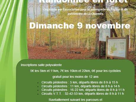 Randonnée en Forêt