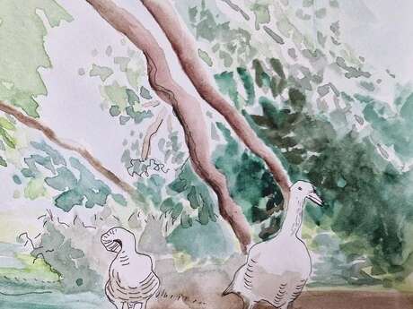 Stage d'aquarelle
