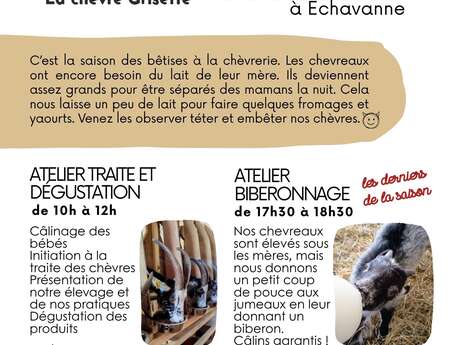 Ateliers à la chèvrerie "La Chèvre Grisette".