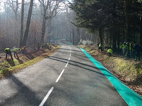 Sauvetage des amphibiens à Appoigny