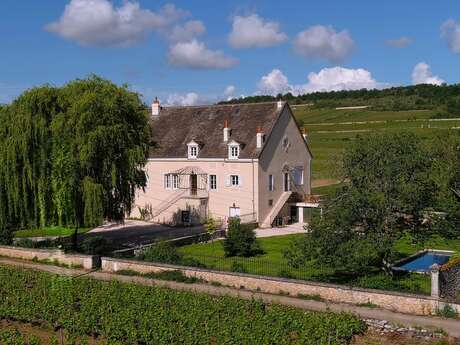 La Maison Chassagne de Puligny - Une maison de famille