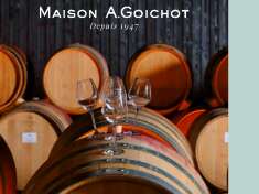 Maison André Goichot – Côté Caves :  Visite Dégustation « prestige » (6 vins)