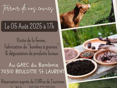 Mardis, Terroir de nos envies