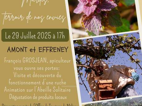 Mardis, Terroir de nos envies