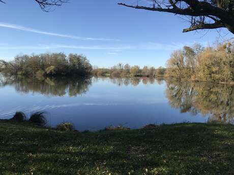 Marnay, haut lieu de la pêche