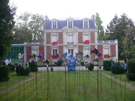 Muséum d'Auxerre