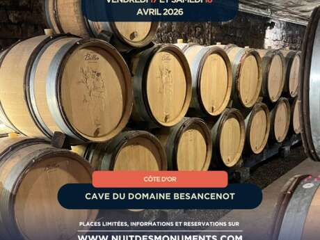 Odyssée viticole nocturne au Domaine Besancenot