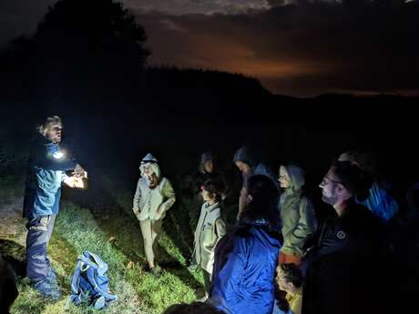  Balade nocturne des Settons à Champgazon