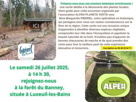 Sortie découverte des plantes locales