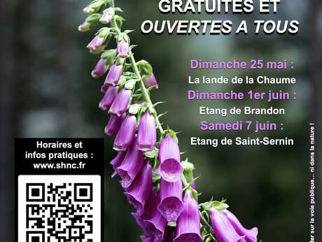 Sortie naturaliste commentée