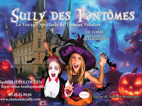 Sully des fantômes : Voyage-Spectacle de Thomas Volatier