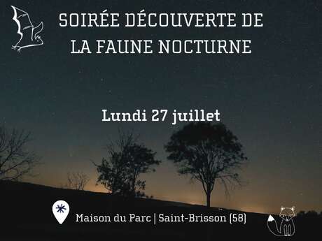 Découverte de la faune nocturne à la Maison du Parc