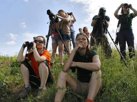 Comptage des oiseaux d'eau hivernants à Champagney (70)