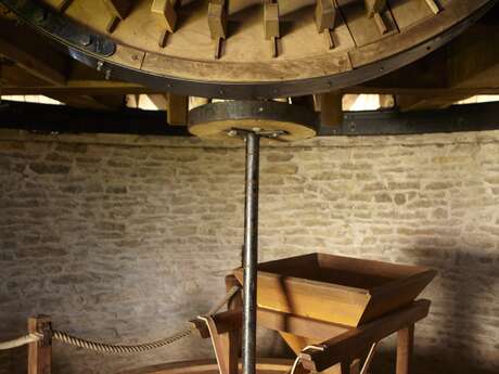 Visites accompagnées du Moulin Sorine