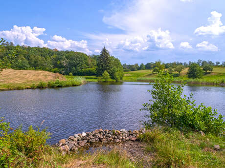 Le Plateau d'Esmoulières