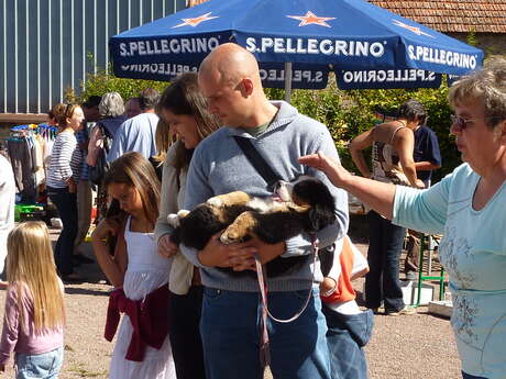 Vide Grenier