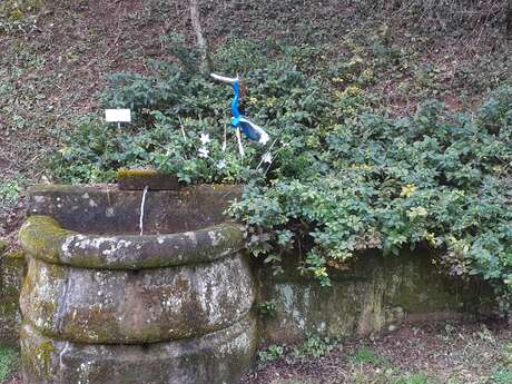 Journées du Patrimoine au Parc de la Cude