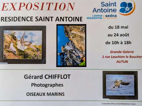 Exposition Mr Gérard CHIFFLOT