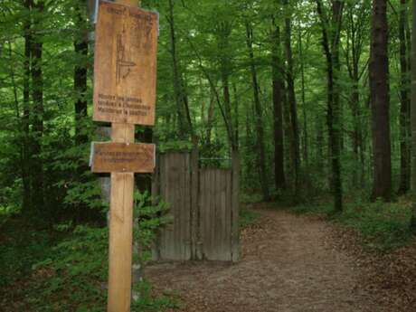 Parcours de santé à Châtenois