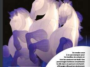 Parade de Noël d'Auxerre 2025 : "Fiers à Cheval !"