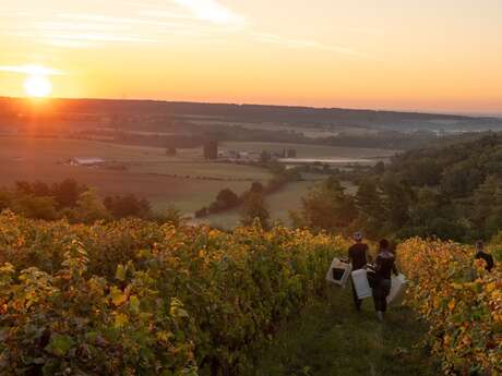 Domaine Henriot