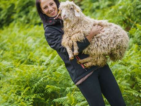 Le Mohair des Petits Sentiers