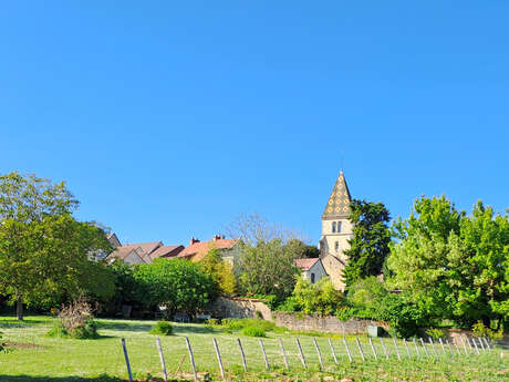 Balade villageoise à Couchey