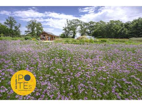 WHICH?GARDEN – le jardin bio qui nourrit  la terre, le corps et l’âme !