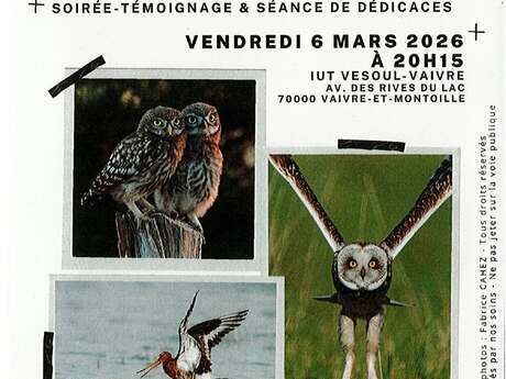 Projection de photographies