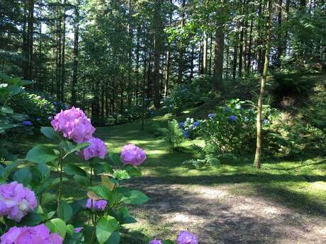 Rendez-vous au jardin : Parc à l'anglaise de la Cude