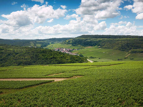 Domaine Roux