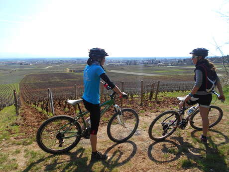 Rando VTT des Vignes "Côte de Nuits"