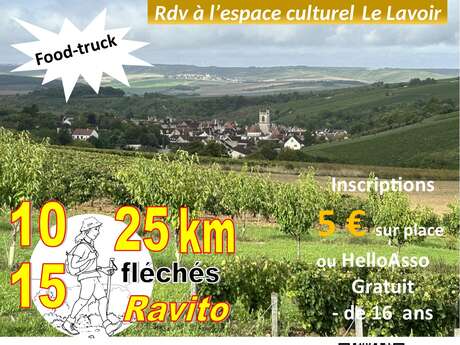 Randonnée pédestre à travers le vignoble d'Irancy