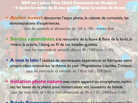 L'été du Lab'Sauvage