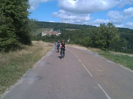 Bike and Wine Tours