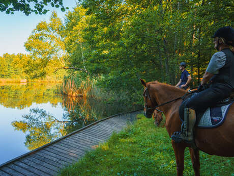 Equi-rando 1000 Étangs