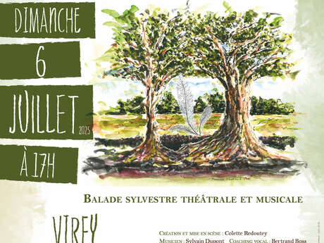 De plume et de bois