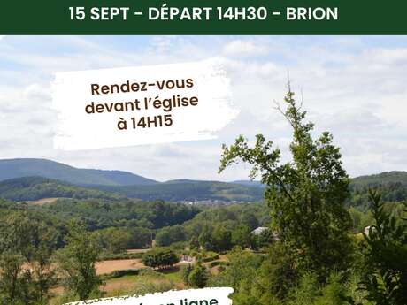 Trésors de nos villages - Lavoirs