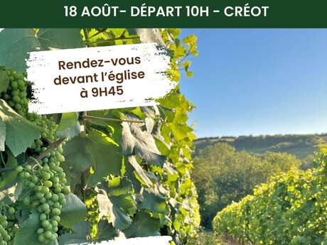 Trésors de nos villages - Paysage de vigne