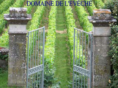Domaine de l'Evêché - Joussier Quentin et Vincent