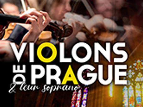 Violons de Prague