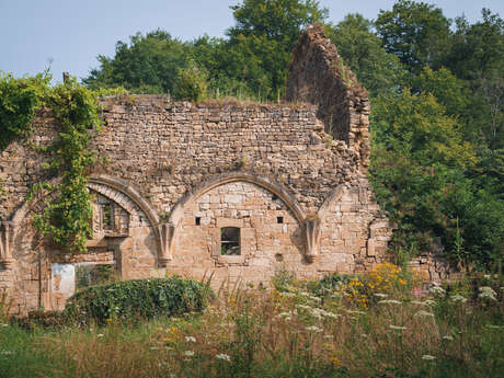 Vestiges du palais abbatial de l'abbaye de Cherlieu