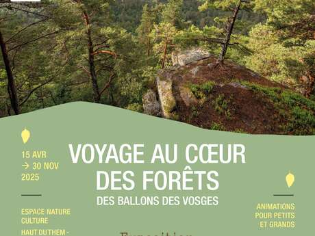 Les secrets de Saint-Antoine Les secrets de Saint-Antoine