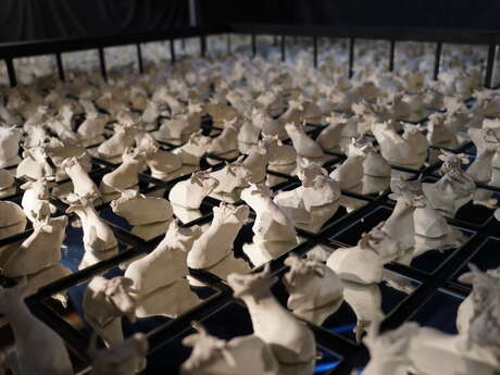 Marguerite - les petites vaches de Belin