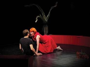 Théâtre : Velouté