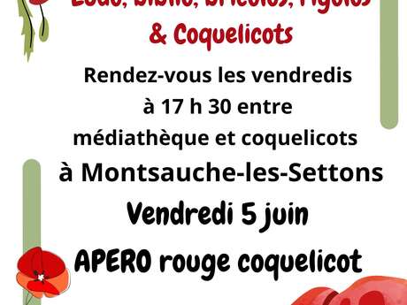 Vendredi ludo, biblio, rigolo, bricolo, Coquelicots